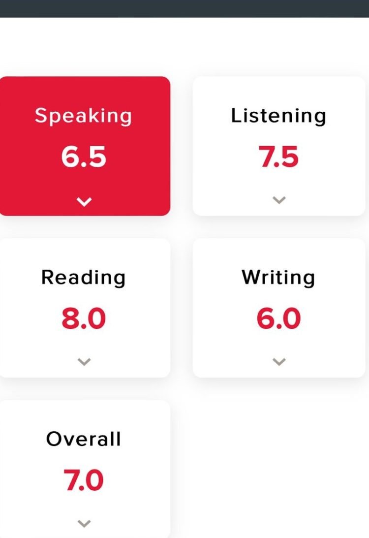 WhatsApp Image 2024-05-16 at 14.56.03